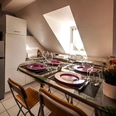 Apartamento Magnifique Duplex Atypique Proche Gare Mulhouse