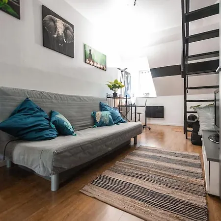 Magnifique Duplex Atypique Proche Gare Apartamento Mulhouse