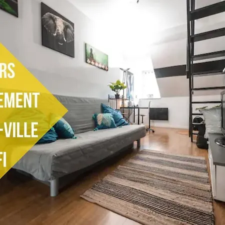 Magnifique Duplex Atypique Proche Gare Mulhouse